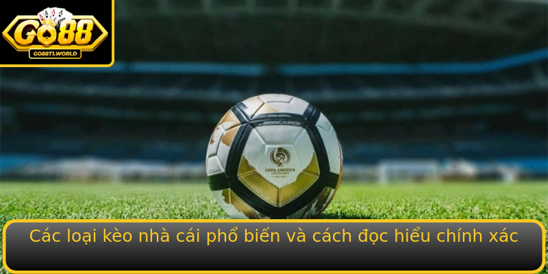 Kèo Nhà Cái - Bí quyết chơi cá cược bóng đá cùng Go88 để thắng lớn 2 Cac Loai Strongkeo Nha Caistrong Pho Bien Va Cach Oc Hieu Chinh Xac