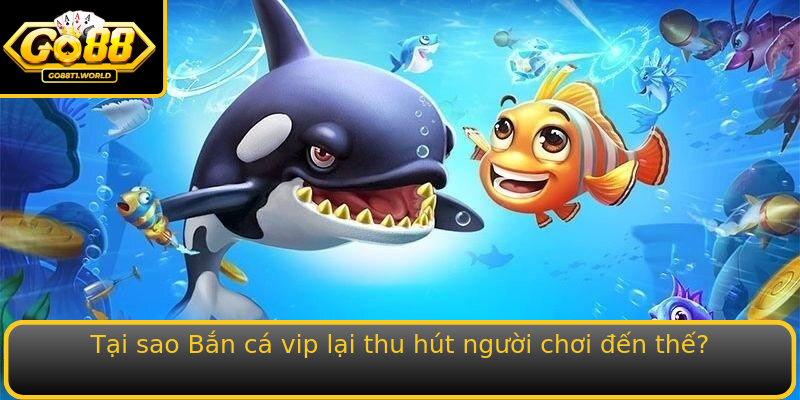 Bật mí bí quyết chơi Bắn cá VIP – Trải nghiệm đỉnh cao cùng Go88 1 Tai Sao Strongban Ca Vipstrong Lai Thu Hut Nguoi Choi En The